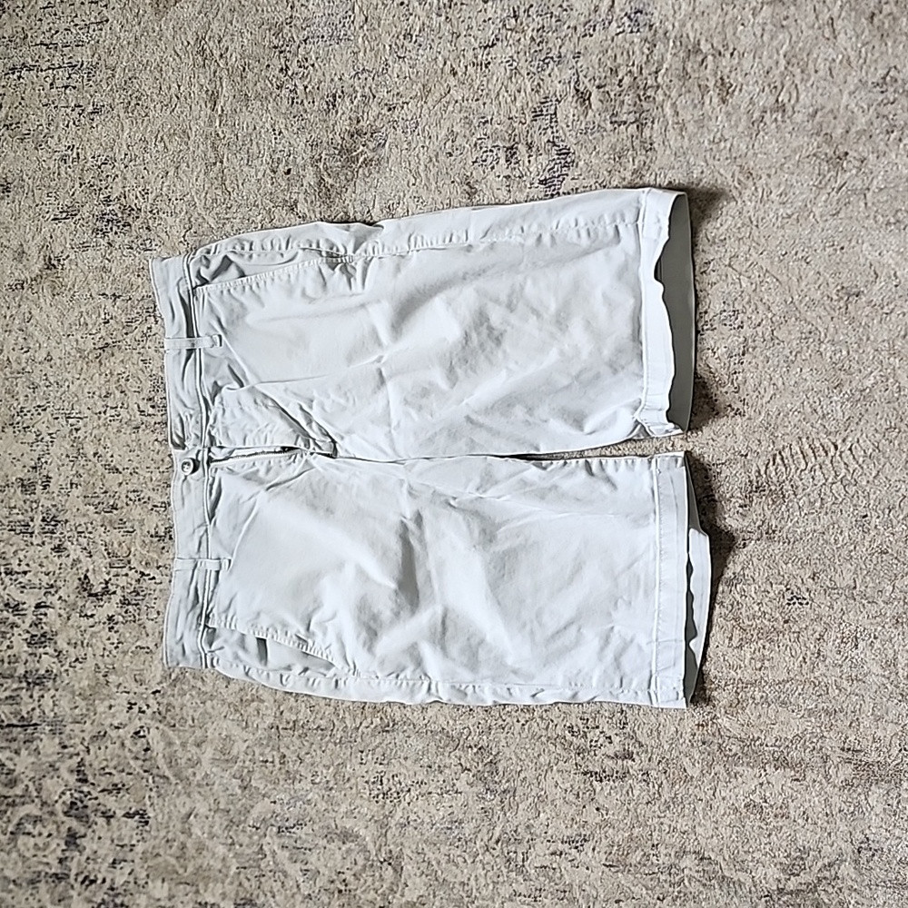 AG Goldschmied shorts 31R